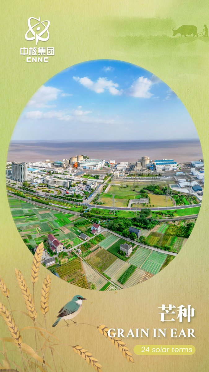 CN_Nuclear_Corp's tweet photo. As the solar term Mangzhong, also known as Grain in Ear arrives, #CNNC cultivates innovation as "seeds", harvesting a season of clean energy breakthroughs—from Hualong One to the "Artificial Sun," we’re reaping limitless green potential!
#GrainInEar #CarbonNeutrality #NuclearInnovation