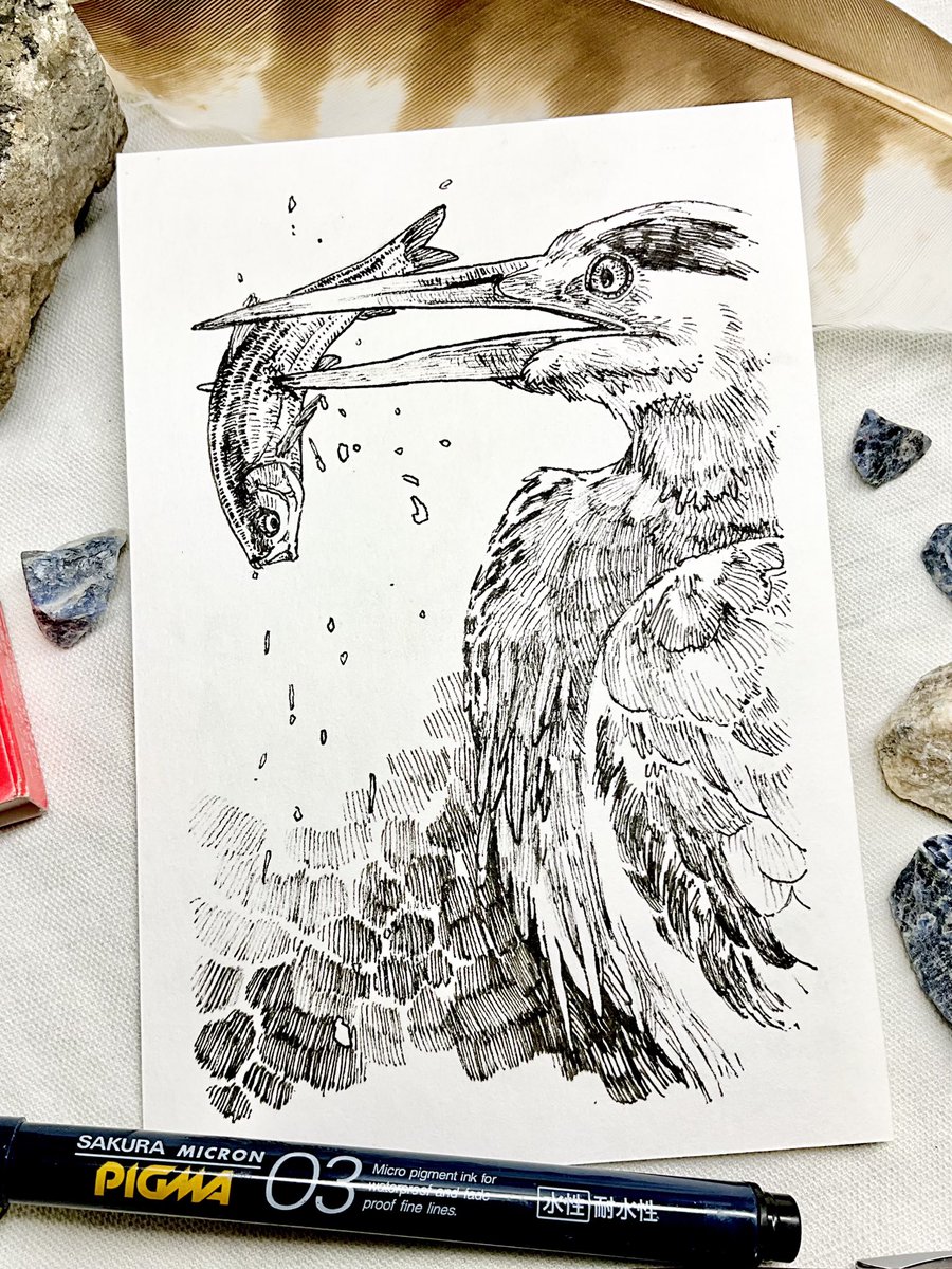 獲っ‼︎
#イラスト #アナログ絵