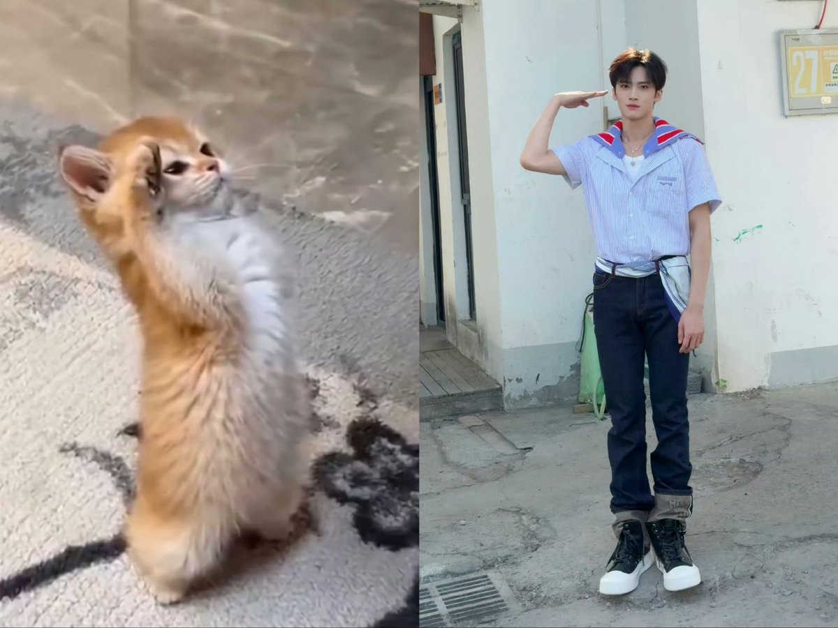 ButterflyYanan's tweet photo. similarity https://t.co/E6y3jXieZC