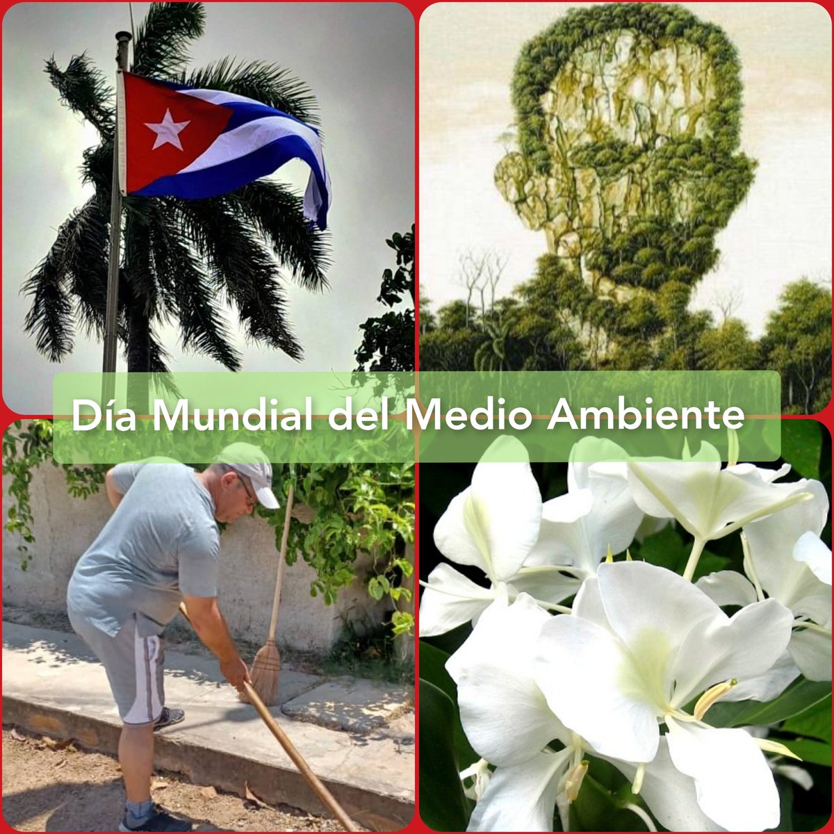 Buenos días 🇨🇺 #CaféMartiano
Unámos voluntades, por la vida en el planeta: 

Día Mundial del Medio Ambiente🌳❤️ 

✍️"El mundo sangra sin cesar ante los crímenes que se cometen contra la naturaleza". 

#Cuba 

A 24 horas del Aniversario #64Minint Venceremos! ✊️🇨🇺