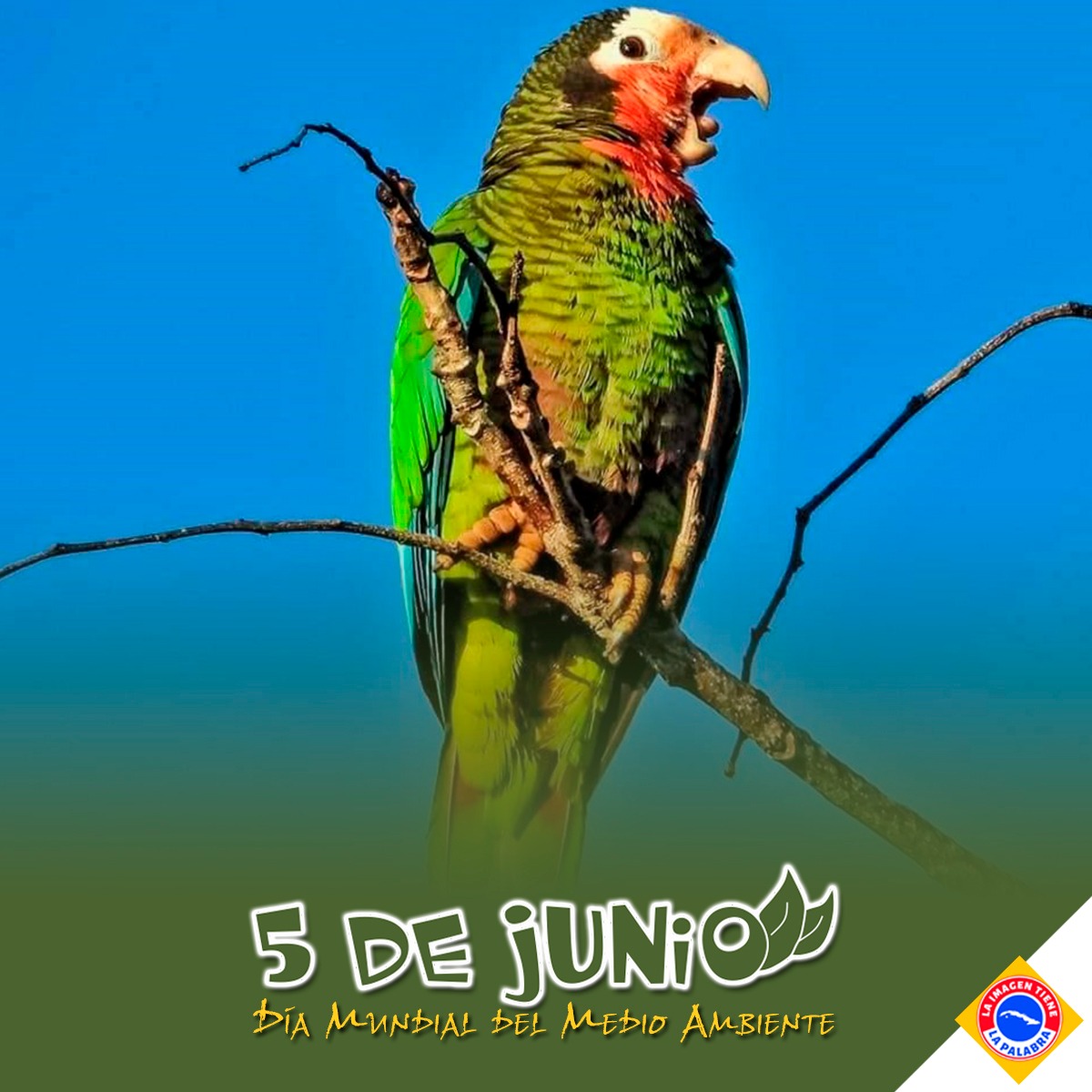 Fabio-D' Qba (@fabiod_qba) on Twitter photo 🌱La <a href="/ONU_es/">Naciones Unidas</a> estableció desde 1972, el 5 de junio como Día Mundial del Medio Ambiente, con el objetivo de concientizar y sensibilizar a la humanidad por una vida más sana y en armonía con la naturaleza.
#CuidemosElMedioAmbiente #DeZurdaTeam
#Cuba 🌱La <a href="/ONU_es/">Naciones Unidas</a> estableció desde 1972, el 5 de junio como Día Mundial del Medio Ambiente, con el objetivo de concientizar y sensibilizar a la humanidad por una vida más sana y en armonía con la naturaleza.
#CuidemosElMedioAmbiente #DeZurdaTeam
#Cuba
