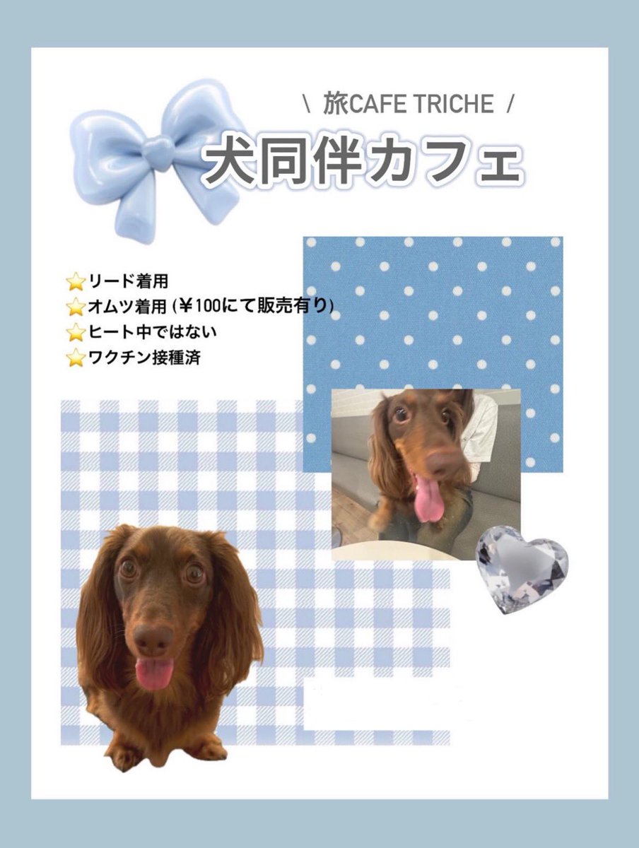 旅café Triche tweet media