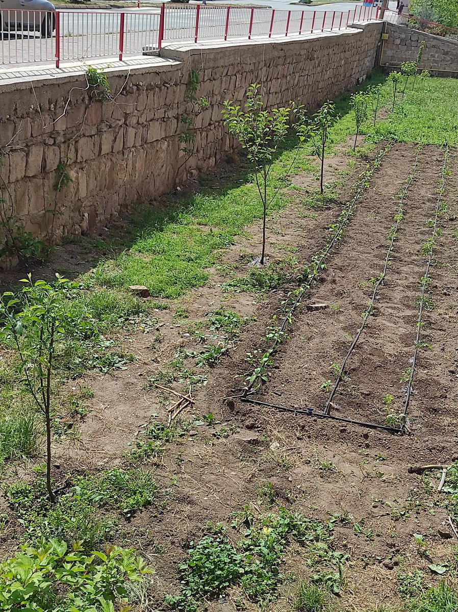 Mavi yeşil okul projesi kapsamında öğrencilerimizle beraber organik tarım yapıyoruz. <a href="/tcmeb/">Millî Eğitim Bakanlığı</a>
<a href="/Yusuf__Tekin/">Yusuf Tekin</a>
<a href="/valisimsek/">Yılmaz Şimşek</a>
<a href="/sivasmem/">Sivas Millî Eğitim Müdürlüğü</a>
<a href="/erdogan_fatih66/">Fatih Erdoğan🇹🇷</a>
<a href="/Ekremyurt_/">Ekrem Yurt</a>
<a href="/Sivas_HEDEF/">Sivas Hedef Projesi</a>
#AileYıl
#HedefAile