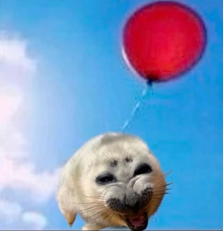 ­ ­ ­ ­ ­ᅟᅟᅟᅟ (@ixilxixilxi) on Twitter photo 