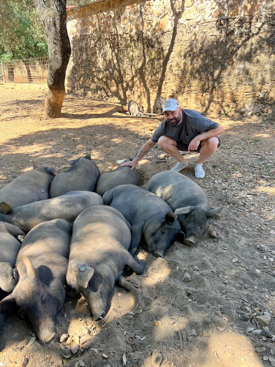 If AI ever wipes out all the jobs, I already know where I’m gonna move.