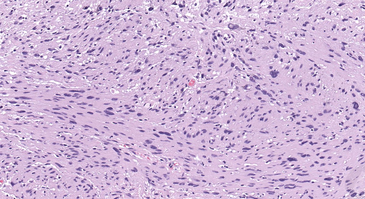 Jerad Gardner, MD tweet media