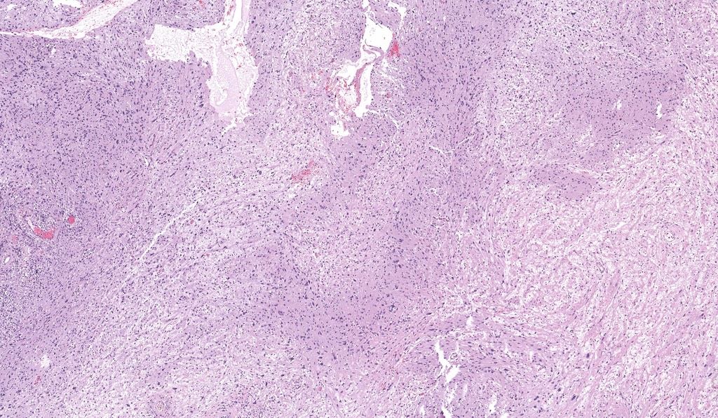 Jerad Gardner, MD tweet media