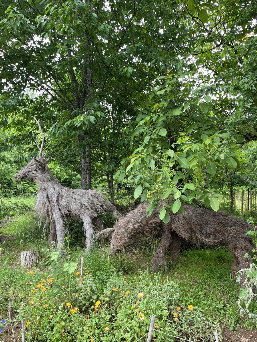 [#A la découverte des écoles de Prayssac ] 
➡️Quel acceuil par Relka , magnifique labrador en résidence #CNR
📌projet de médiation animale 
À la question : « que vous apporte la présence de Relka » unanimement «  de la JOIE » 
✅et aussi Jardin partagé , périscolaire 
Bravo