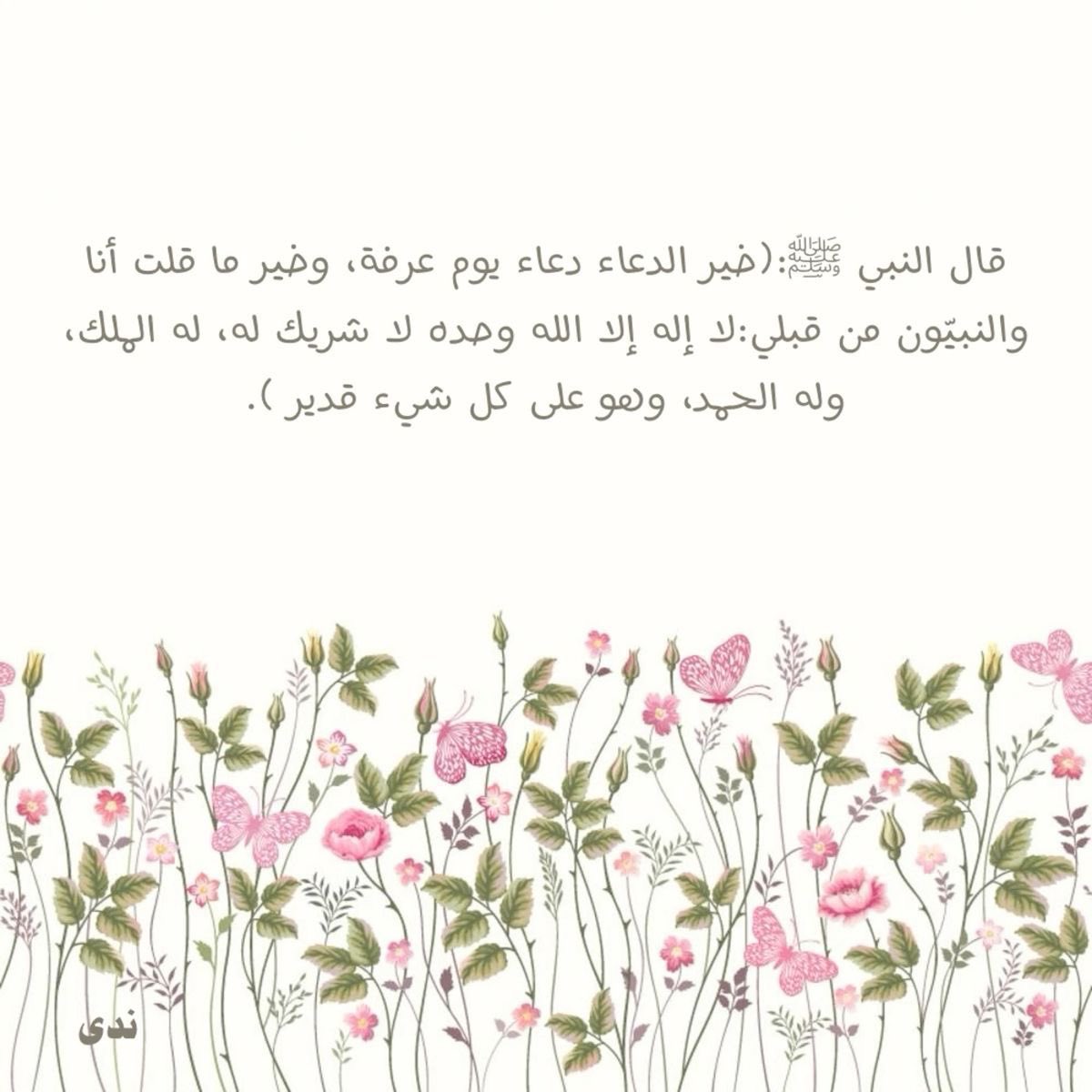 haya_015's tweet photo. https://t.co/G1cmF60pP3