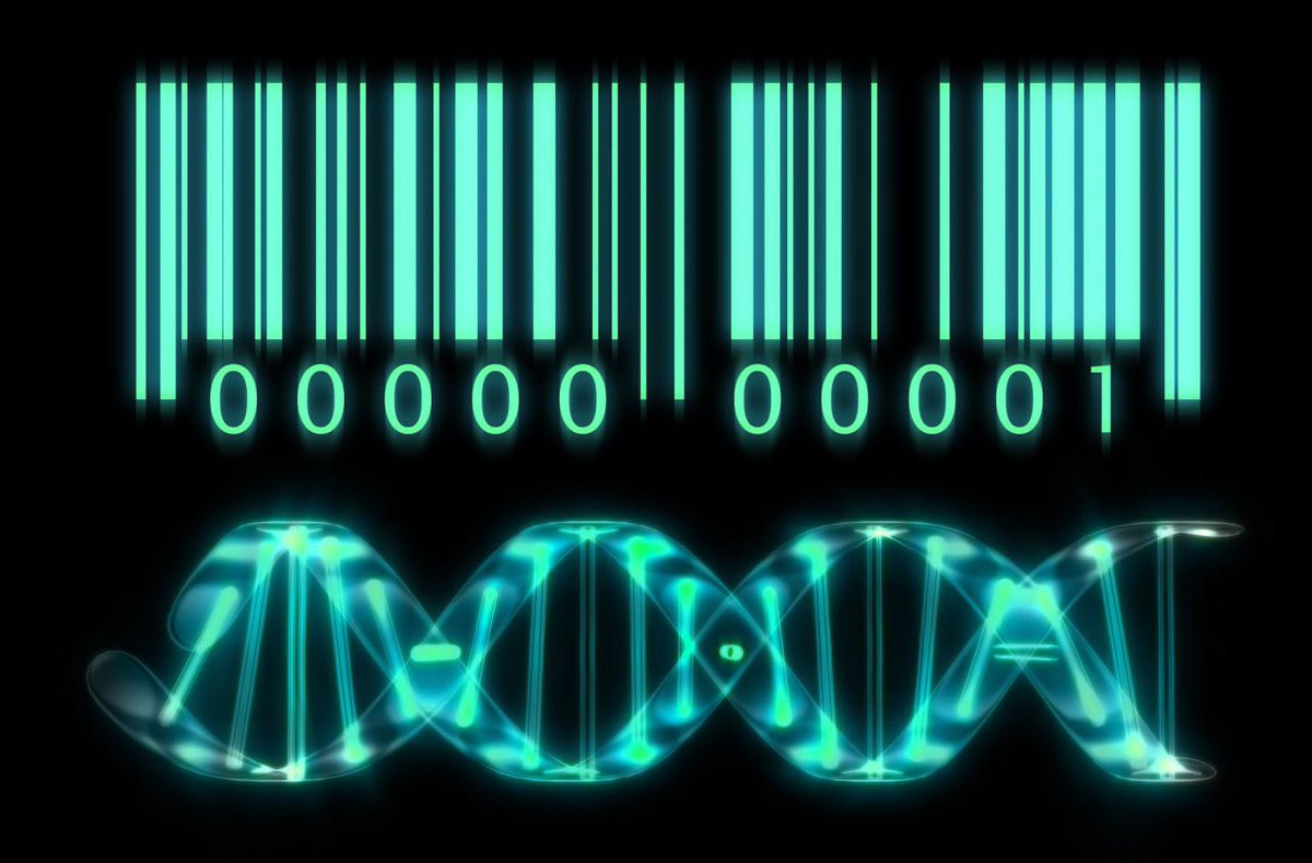 Be11akindofthng's tweet image. Architektur des BEAST #BeastSystem
Global Unique Identifier (GUID)

Thread 🧵

1. Ein GUID (Global Unique Identifier) ​​dient als dauerhafter Identitätsanker.

2. Diese ID ändert sich nicht und kann durch verschiedene Ausweisdokumente (Reisepass, Führerschein, Impfpass usw.),…