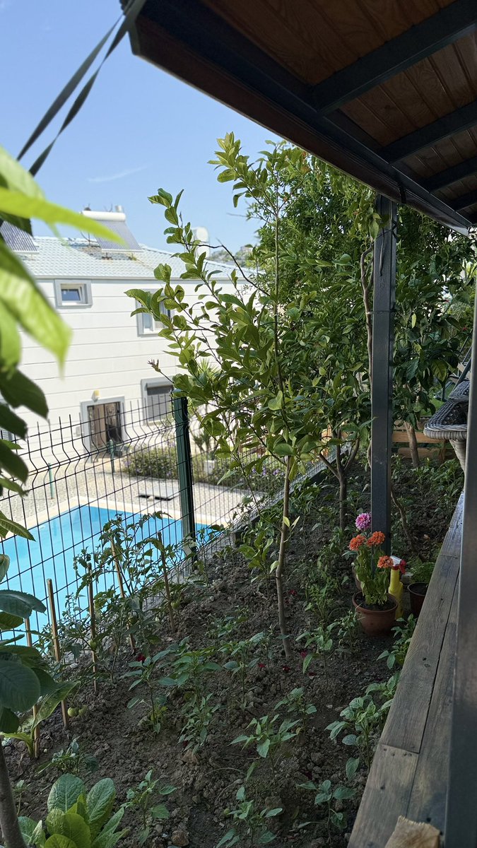 Şöyleli bir Günaydın 🌞