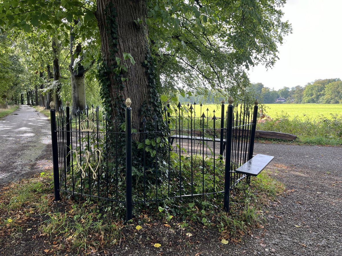 #weekendwandeltip 🥾 Kies voor etappe 8 van het Trekvogelpad en rust uit op dit bijzondere bankje aan de Oude Meentweg in ’s-Graveland. 🌳 Een smeedijzeren bankje rond een lindeboom uit 1898, geplant voor de kroning van Wilhelmina. 👉 wandelnet.nl/blogbericht/20…

📷 Ernst Koningsveld