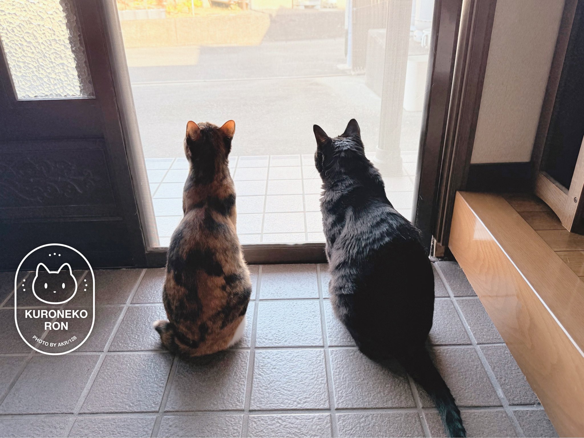 GsrFxXgbcAAJRSl.jpg:large