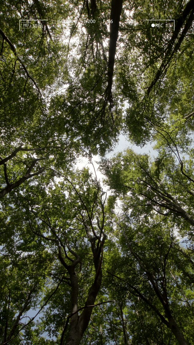 🌱Celebrar el Día Mundial del Medio Ambiente es parte de nuestra filosofía. 

🌱 Desde la ingeniería agrícola, trabajamos cada día por un campo más sostenible, cuidado y vivo.

👨‍🌾🌾La tierra lo merece. 
Y el futuro nos necesita.
👇

#DiaMundialDelMedioAmbiente
