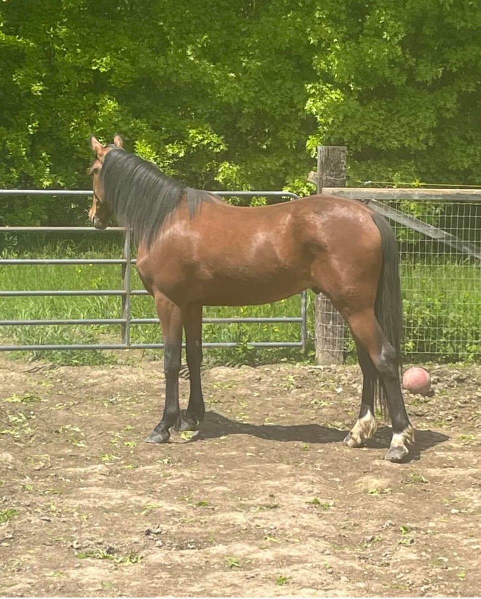 Mike | Hero Krapht tweet media