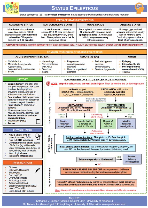 Status Epilepticus 🧠

✨✨✨