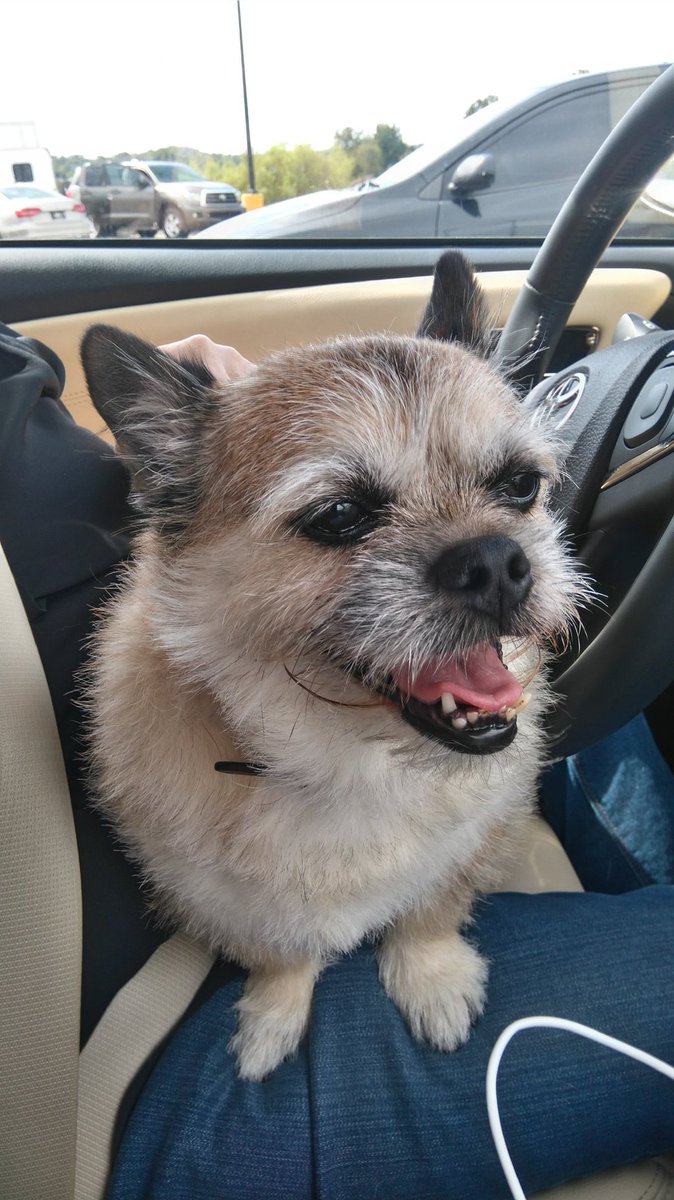 Morning friends. Mama is working a lot so I don't have enough time to visit with my sweet friends. I hope that gets better soon. In the meantime please know I love you and miss you all. 😔♥️