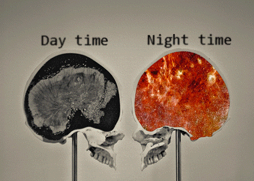 uahmarka's tweet photo. My brain at work: silence. My brain at night: Remember that time you fell down the stairs? Yeah, still relevant. #work #brain #memories #POLYMORGAN https://t.co/ASjt00VNFP