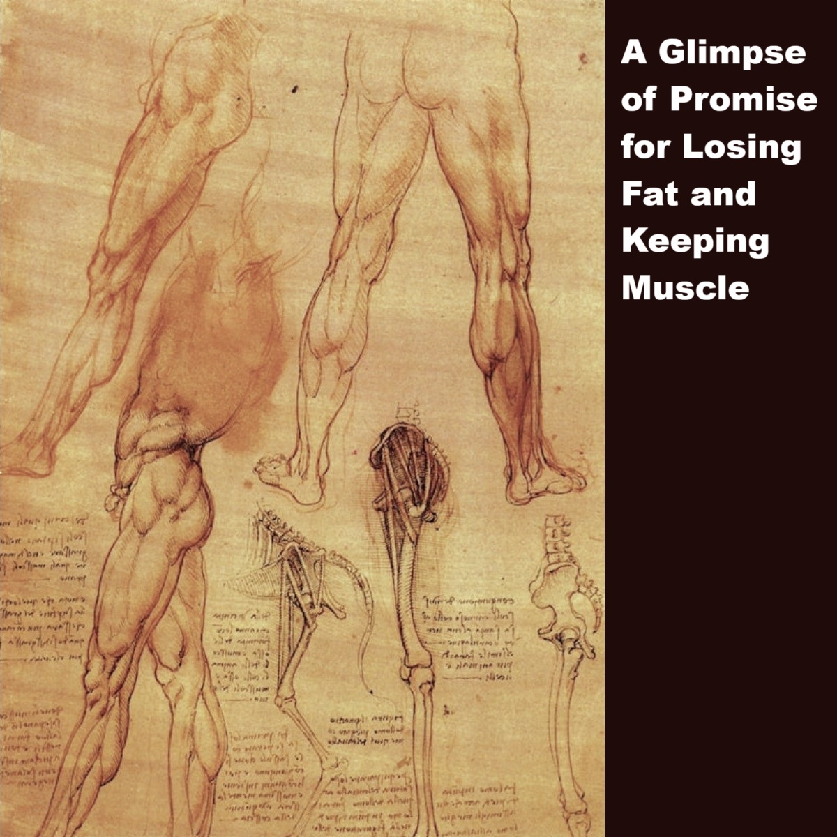 From <a href="/Regeneron/">Regeneron</a> we have tantalizing results for the combination of #trevogrumab with #semaglutide for #LosingFat while #PreservingMuscle. With the combination, will we see improvements in body composition for better health? That's the core question.
conscienhealth.org/2025/06/a-glim…