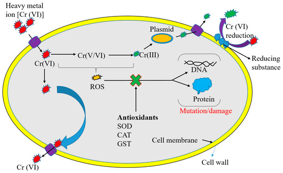 Applsci's tweet photo. 🔥 Read our Review Paper
📚 Microbial-Based Heavy Metal Bioremediation: Toxicity and Eco-Friendly Approaches to Heavy Metal Decontamination
🔗 https://t.co/CG3RM2pkVN
👨🔬 by Biao Zhou et al.
#microorganism #heavymetals https://t.co/zHsbvp4dAS