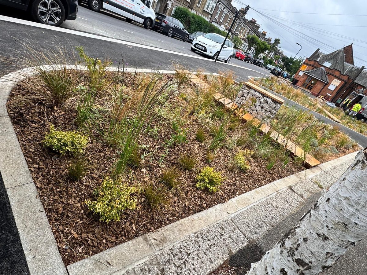 MeristemDesign's tweet image. We've just completed two large rain gardens (105m²) at Scott’s & Morley Road in Waltham Forest.
💧 Soaks up rainwater
🐝 Boosts biodiversity
🌱 750 hardy plants
🌳 15m oak walkway + gabion seating
🔧 Maintained by our team
#SuDS #RainGarden #UrbanGreening #WalthamForest