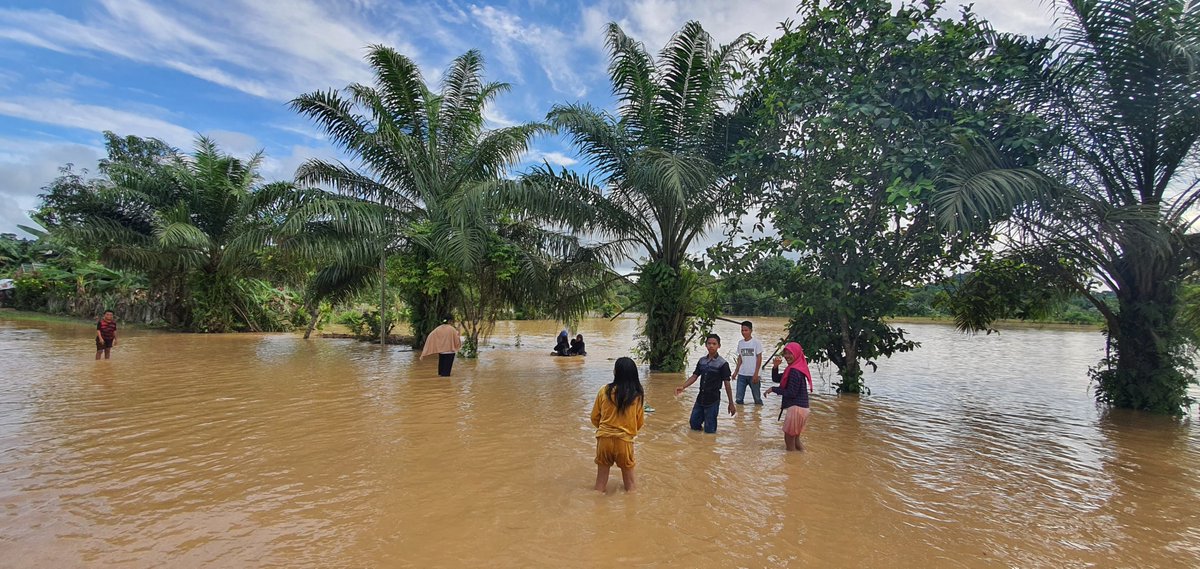Loa Lepu, once a rice barn in Kutai Kartanegara, now faces floods &amp; crop failure due to coal mining near farmlands. 🌾⛏️

This #WorldEnvironmentDay, let’s remember: environmental damage is also about injustice. Protecting nature means protecting people’s lives &amp; futures. 🌍✊