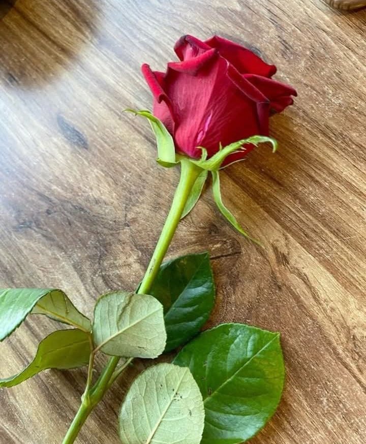 "Aşk ..🤎
Züleyha'nın Yusuf'u 
Gören gözlerinde değil;
 Yokluğunda gösterdiği 

  _Sabrında gizliydi...🦋

...💃🤎🚶‍♂️...🌹🍃