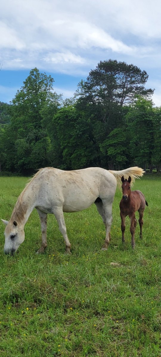 ImmaSouthpaw tweet media