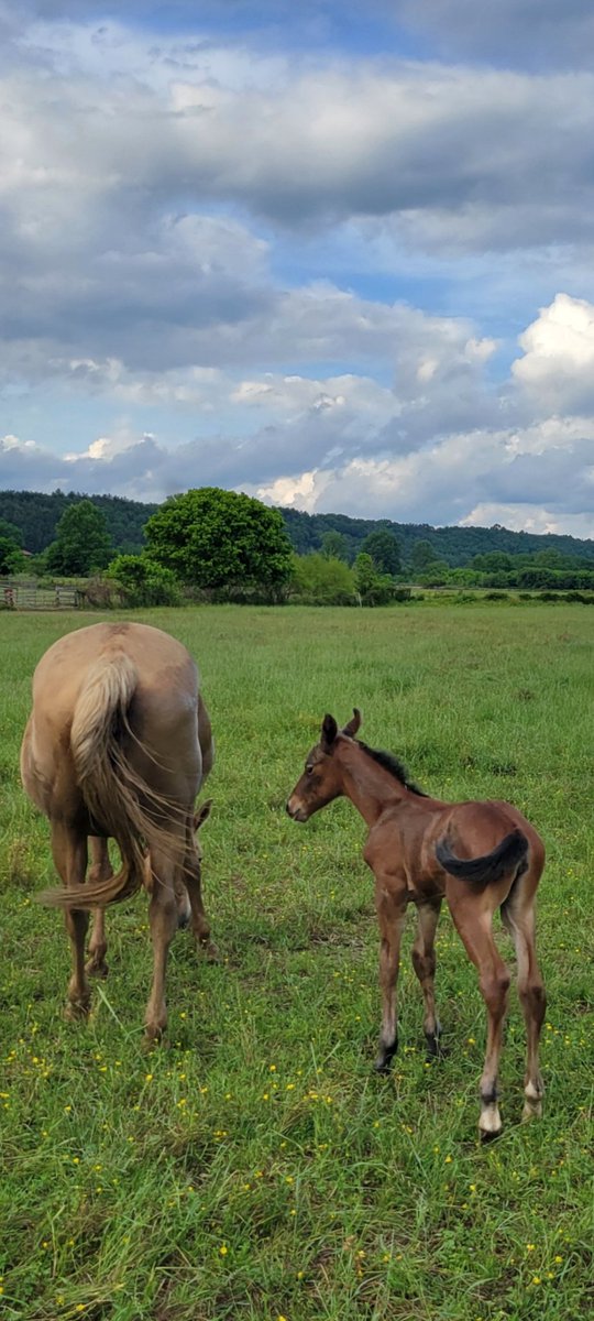 ImmaSouthpaw tweet media