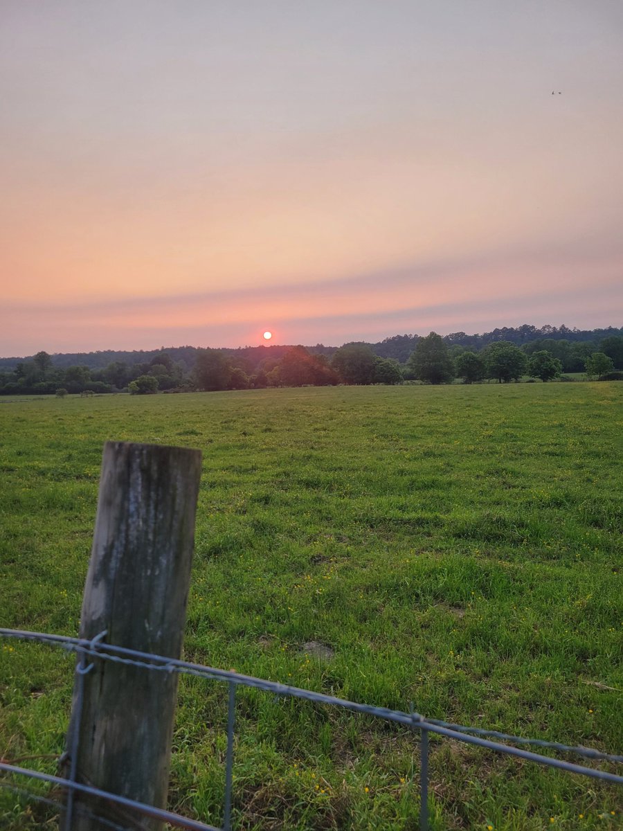 ImmaSouthpaw tweet media