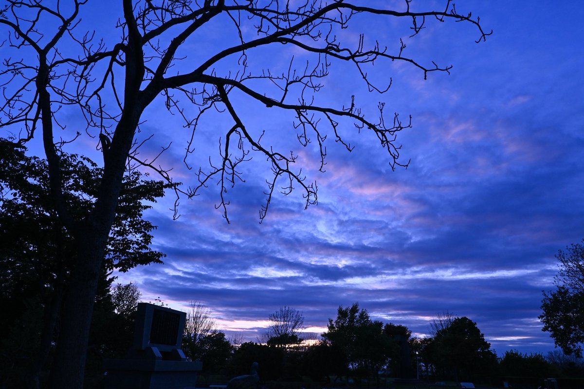 後悔は一生、勇気は一瞬。

#キリトリセカイ #ファインダー越しの私の世界 #photography