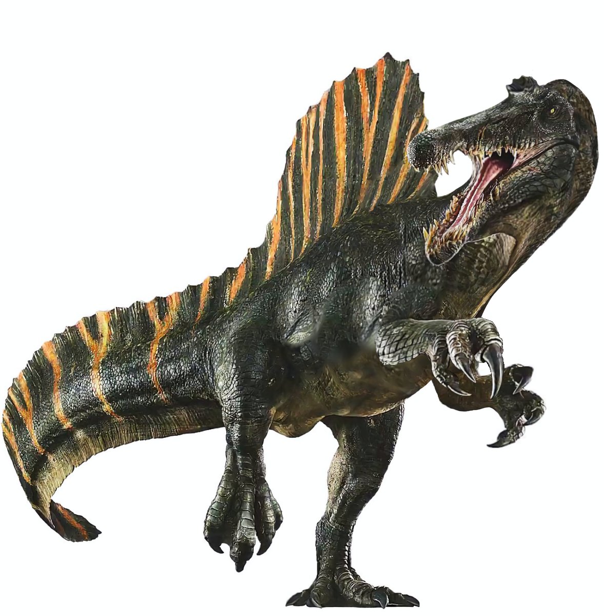 This last post caused a stir, and one of the main criticisms I received was the fact that I took a not-so-good example to "correct" since Quetzalcoatlus isn't that horrible, so I edited the Spinosaurus since it has a simply grotesque design.
#JurassicWorldRebirth #JurassicWorld