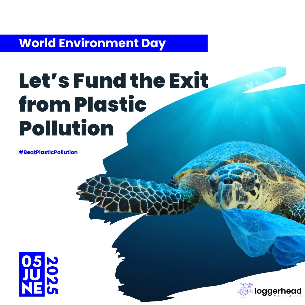 Loggerhead Ventures tweet media