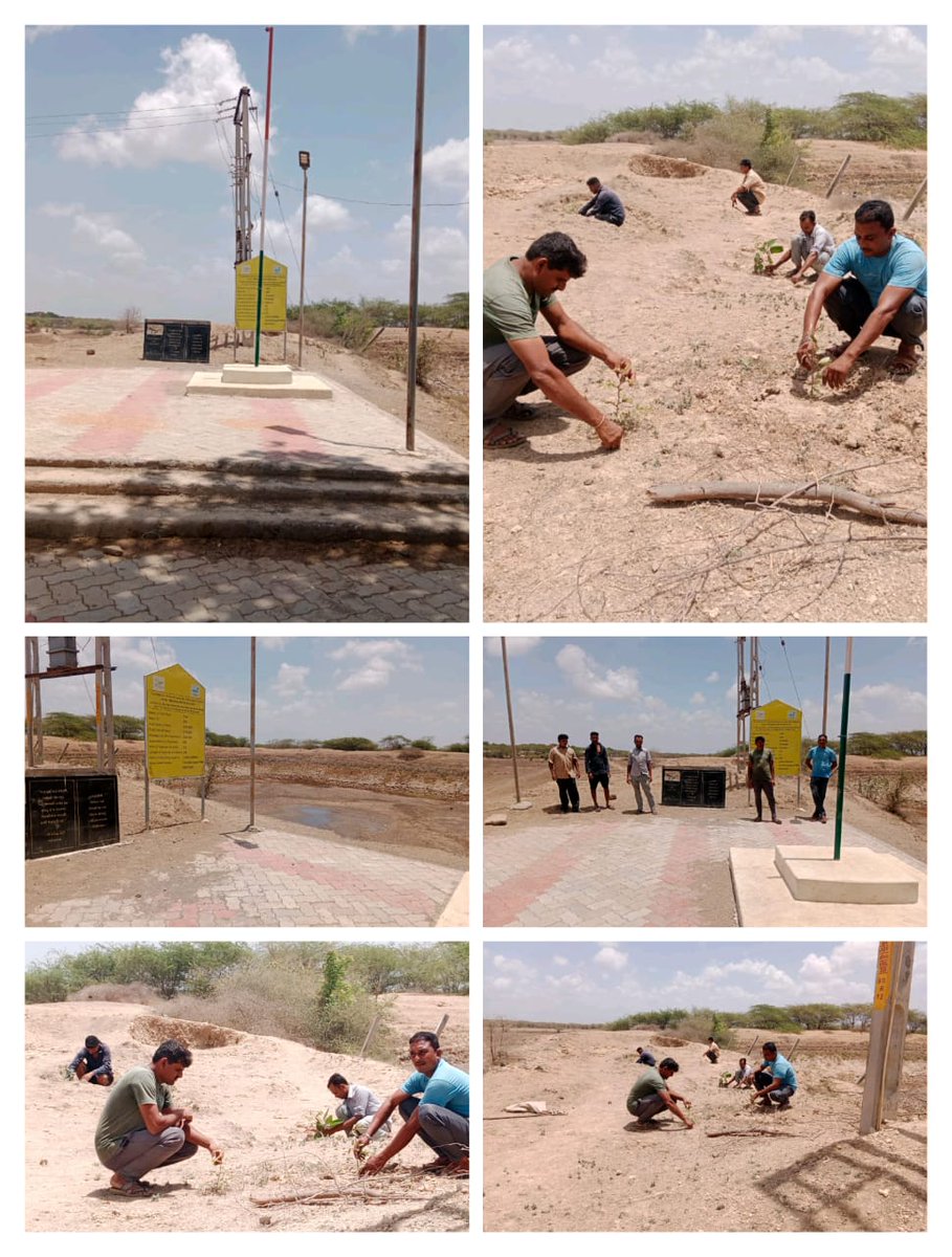 આજ રોજ માંગરોળ તાલુકામાં માં. તાલુકા વિકાસ અધિકારી શ્રી ના માર્ગદર્શન હેઠળ  મનરેગા અંતર્ગત વિશ્વ પર્યાવરણ દિવસ ની ઉજવણી અમૃત સરોવર ની સાઇટ પર કરવામાં આવી