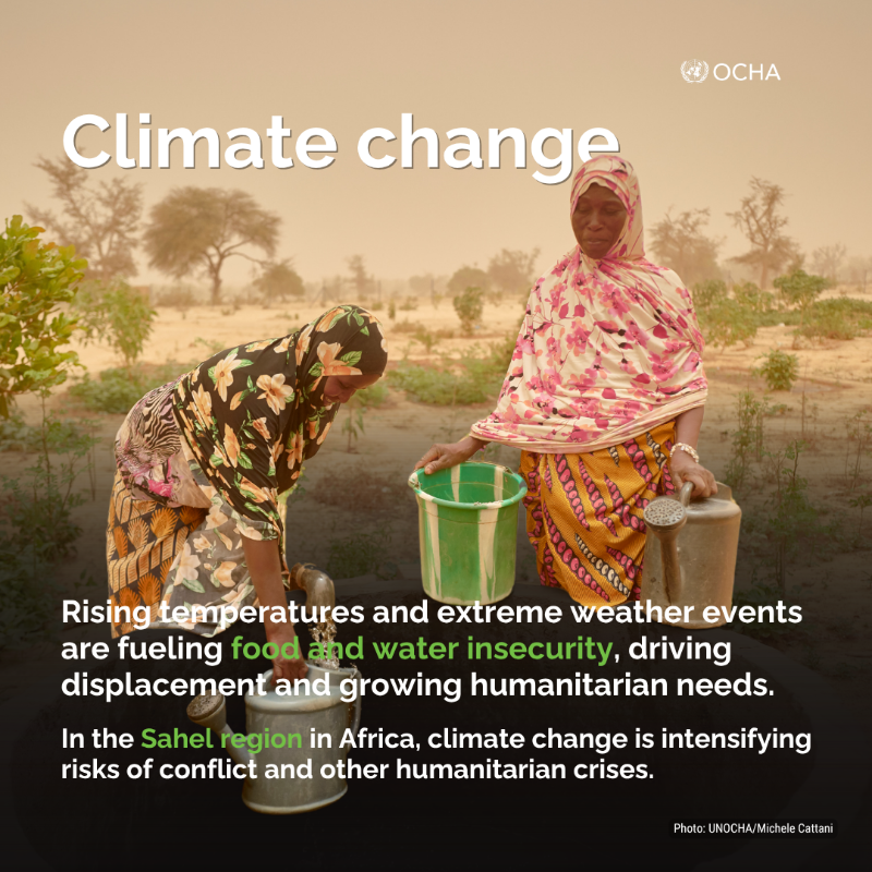 UNOCHA's tweet photo. Many of today’s humanitarian crises are being influenced by environmental factors.

More people are being displaced, facing hunger or losing access to water due to environmental shocks.

On #WorldEnvironmentDay, find out how the environment affects humanitarian action.