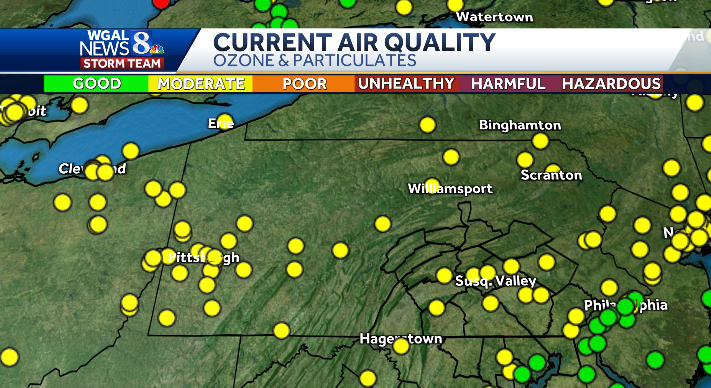 MaryEllen Pann tweet media