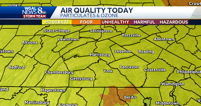 MaryEllen Pann tweet media