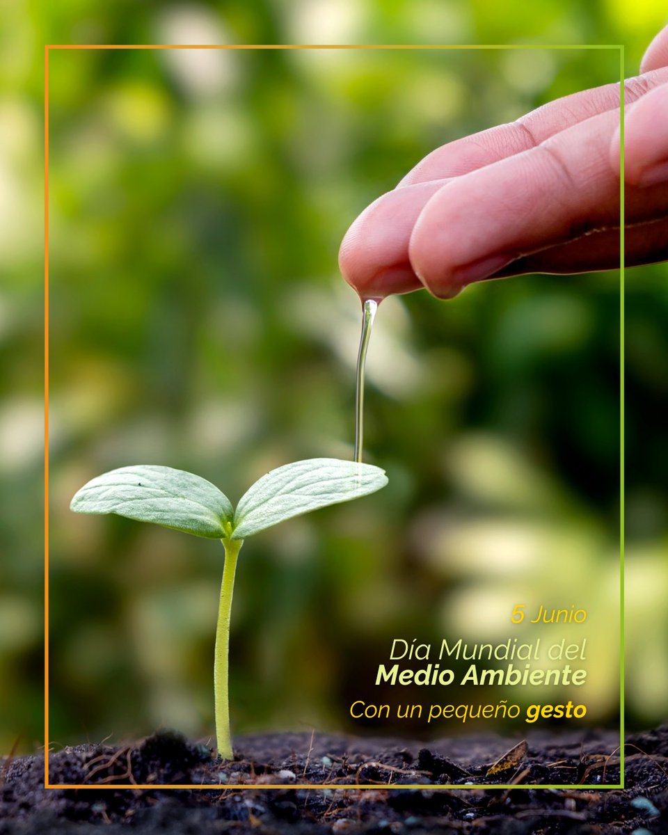 Calordom's tweet photo. ¡Feliz día Mundial del #medioambiente!🌱💚

👉🏼Incentivar la renovación de antiguas salas en calderas de biomasa o de gas condensación🌱 

👉🏼Centrar nuestros esfuerzos en nuevas formas de energía renovable☀️😎

🍃Con un pequeño gesto🍃

#díamundialdelmedioambiente #calordom https://t.co/dgzLh56cMH