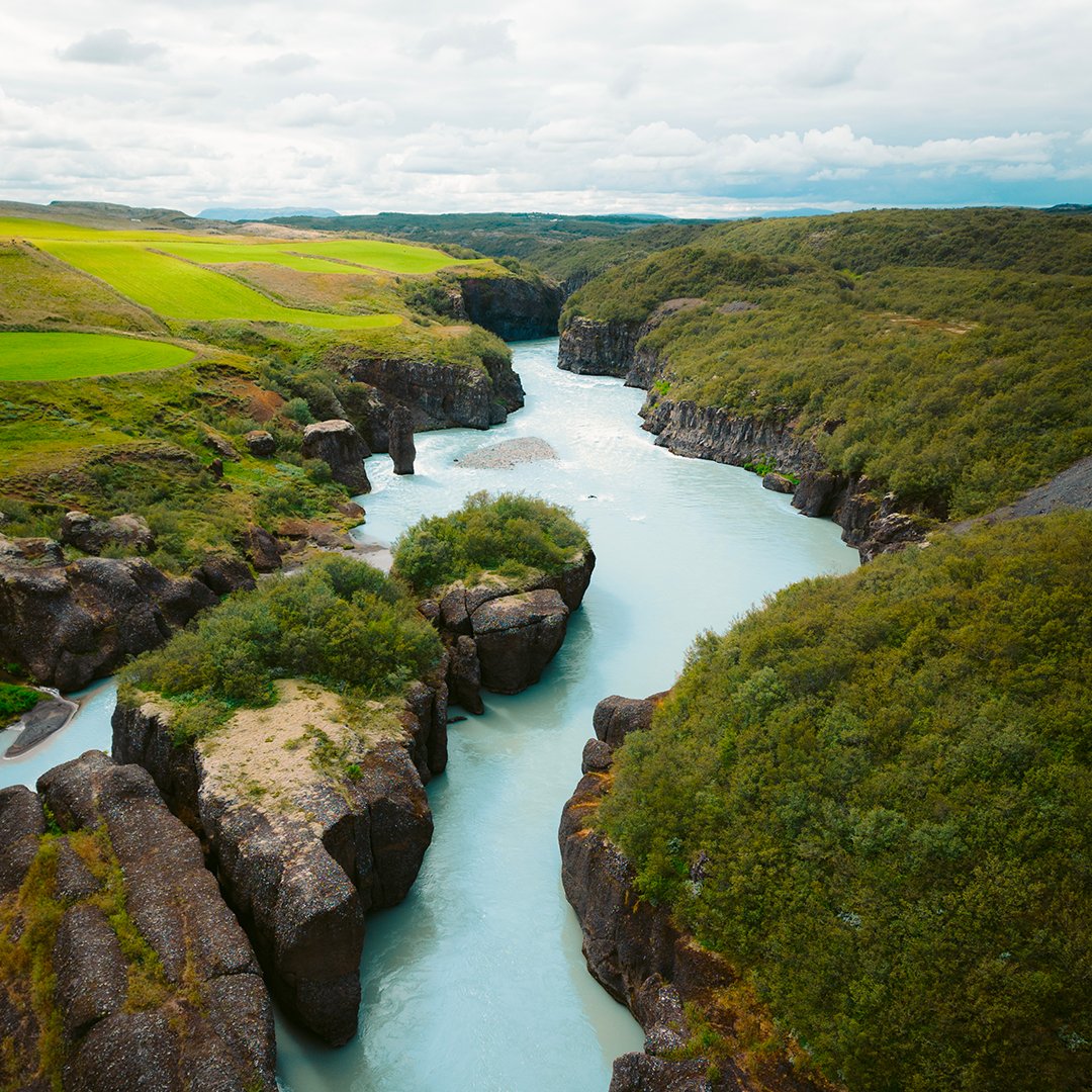Embarquez pour une croisièreen Islande.🌿Laissez-vous émerveiller par des paysages à couper le souffle à bord de #MSCPreziosa, avec des escales dans ces lieux d’exception :
🌊 Hambourg
🌊 Invergordon
🌊 Reykjavik
🌊 Isafjordur
🌊 Akureyri
🌊 Kirkwall

➡️urlr.me/B2jYQZ