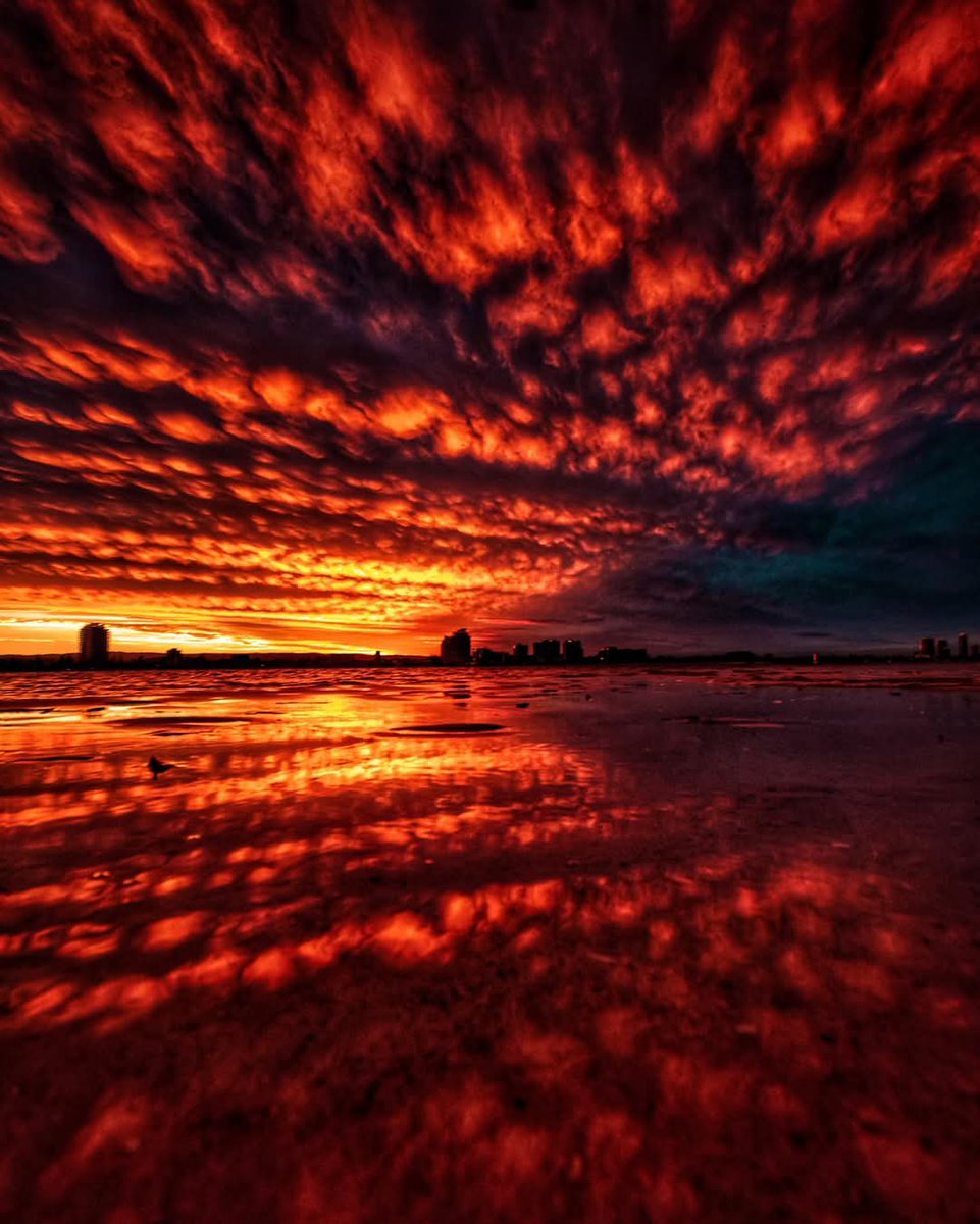 — Red Sunset sky 🌄
