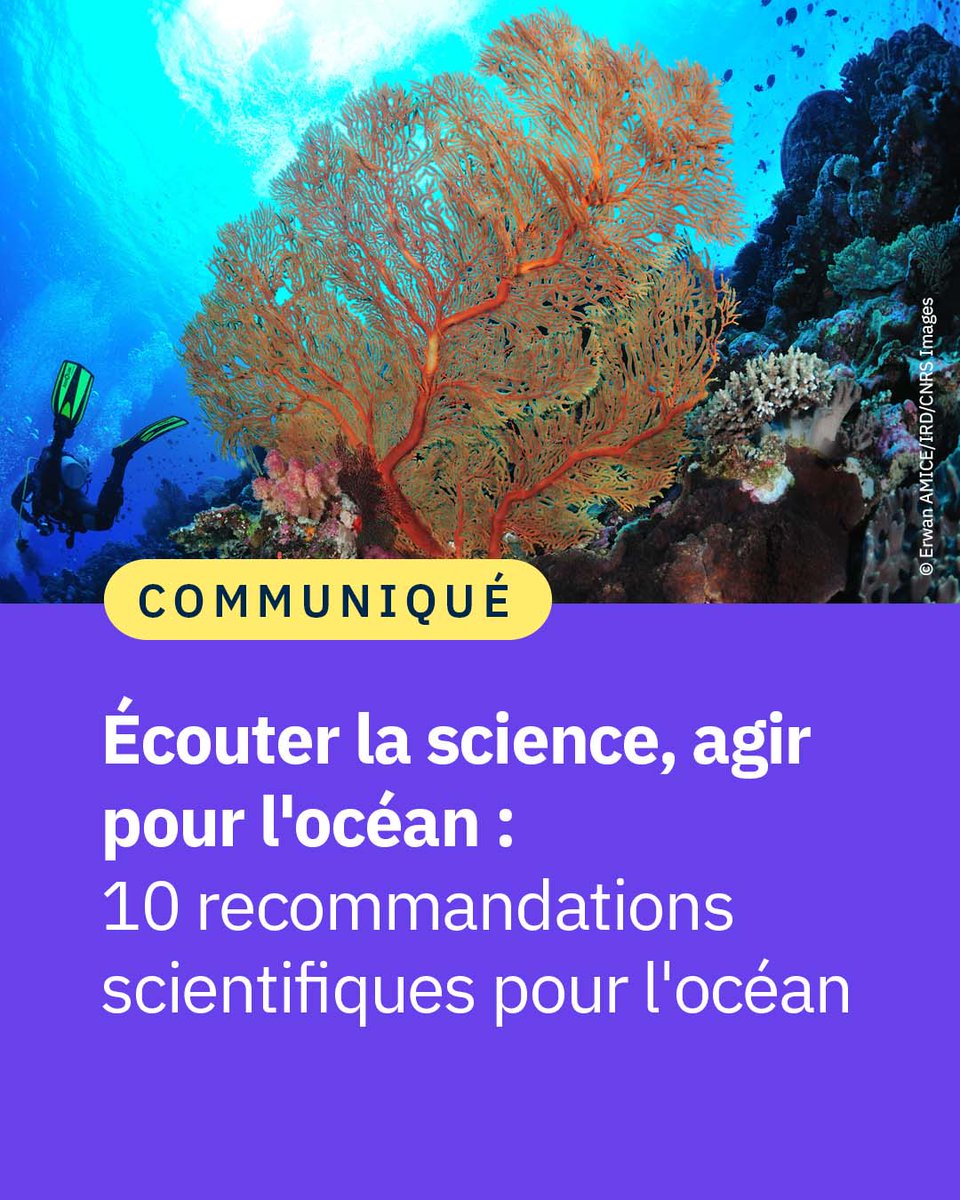 #Communiqué 🗞️ Les scientifiques du Congrès One Ocean Science lancent un appel fort : agir vite, en s’appuyant sur la science.
Leurs 10 recommandations, issues d’un an de travaux, seront remises aux chefs d’État le 8 juin. #UNOC3
 #OOSC #CNRSocean🌊
👉 cnrs.fr/fr/presse/ecou…