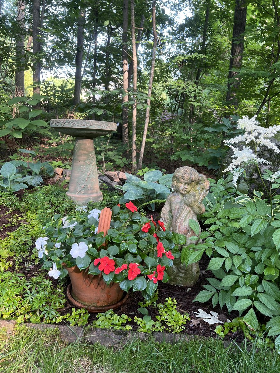 Patricia Kirkpatrick tweet media