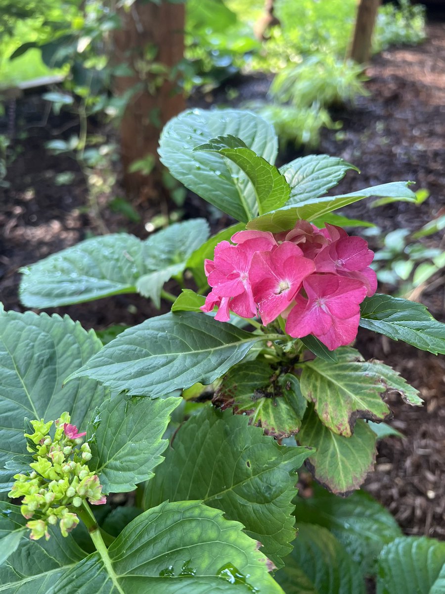 Patricia Kirkpatrick tweet media