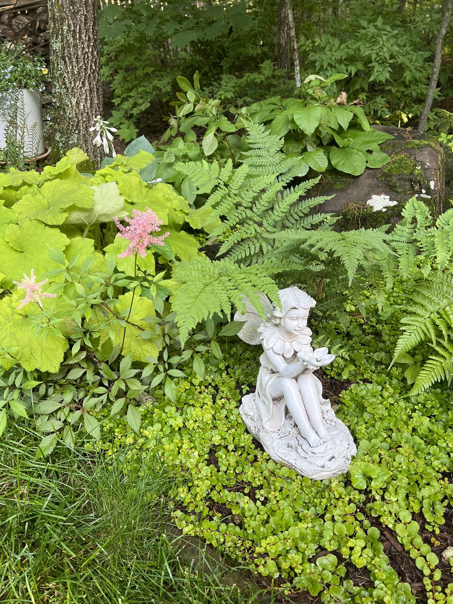 Patricia Kirkpatrick tweet media