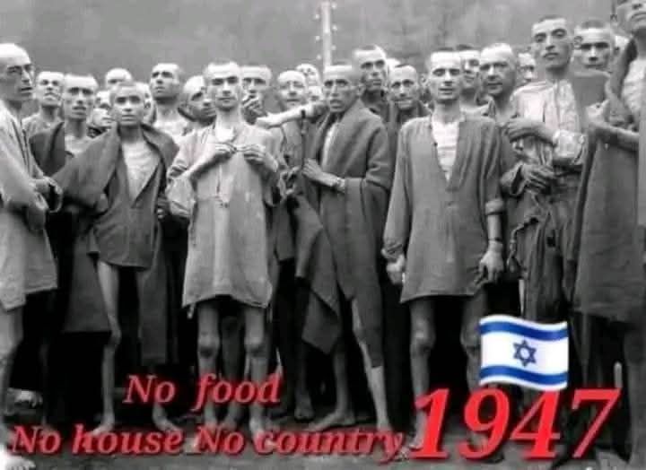 KRYSTALKLEEN (@krystal77kleen) on Twitter photo <a href="/Vigilante2801/">Vigilante🥷</a> MR. VIGILANTE, ISRAELI ZIONIST TERRORISTS BASTARDS, FORGET, THE PALESTINIANS WELCOMING THEM IN PALESTINE!! AND WHAT DID PALESTINIANS GET IN RETURN!!! STARVATION TORTURE HOMES DEMOLISHED LIVING IN TENTS THEN BEING BOMBED BURNED ALIVE TO DEATH AND OUR COUNTRY RAISES ITS ZIONIST <a href="/Vigilante2801/">Vigilante🥷</a> MR. VIGILANTE, ISRAELI ZIONIST TERRORISTS BASTARDS, FORGET, THE PALESTINIANS WELCOMING THEM IN PALESTINE!! AND WHAT DID PALESTINIANS GET IN RETURN!!! STARVATION TORTURE HOMES DEMOLISHED LIVING IN TENTS THEN BEING BOMBED BURNED ALIVE TO DEATH AND OUR COUNTRY RAISES ITS ZIONIST