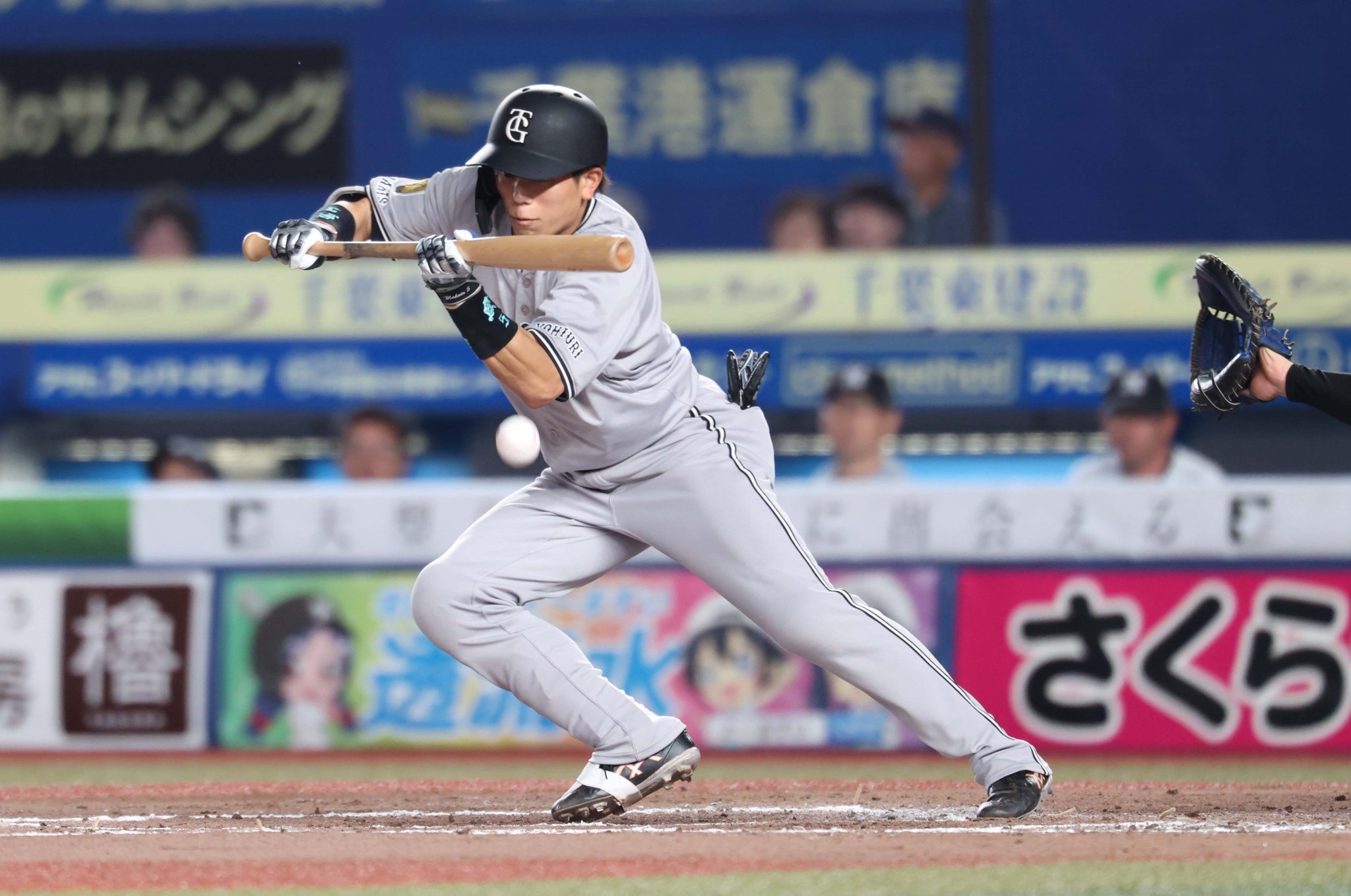 読売巨人軍（ジャイアンツ） on X: 