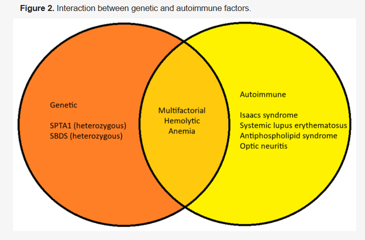 Check out our newly published article on hemolytic anemia 👇 

"An Unusual Case of Multifactorial #Hemolytic #Anemia: A Complex Interaction Between Genetic and #Autoimmune Factors"

📰✏️mdpi.com/2673-6357/6/2/…