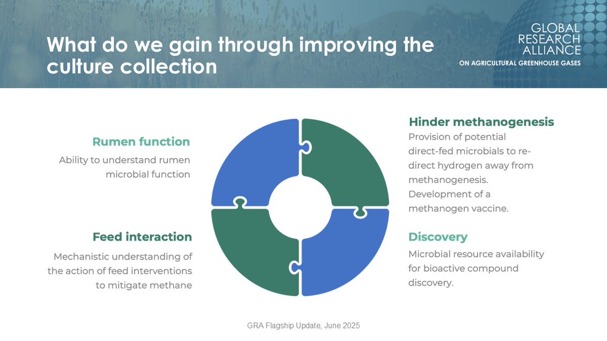 #AgriClimate2025. Prof. Sharon Huws outlined the world’s largest project on the rumen microbiome in advancing methane mitigation. Over 950 novel bacterial genomes sequenced; methanogens and fungi isolated. Data, including a tool, will be shared openly by 2027 to drive innovation.