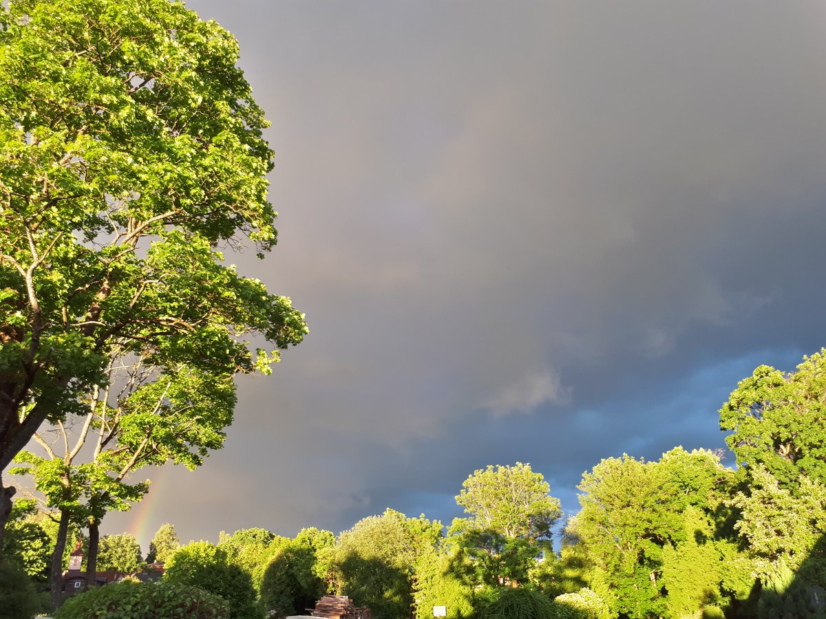 06.06. Naktī daudzviet, dienā īslaicīgi līs, dažviet austrumos stipras pērkona lietusgāzes. Vietām migla, dūmaka. Naktī lēns vējš, dienā lēns līdz mērens D puses vējš, vietām negaisa laikā brāzmains. Gaisa temperatūra naktī +10...+15°, dienā +18...+23°, jūras piekrastē +15...+19°