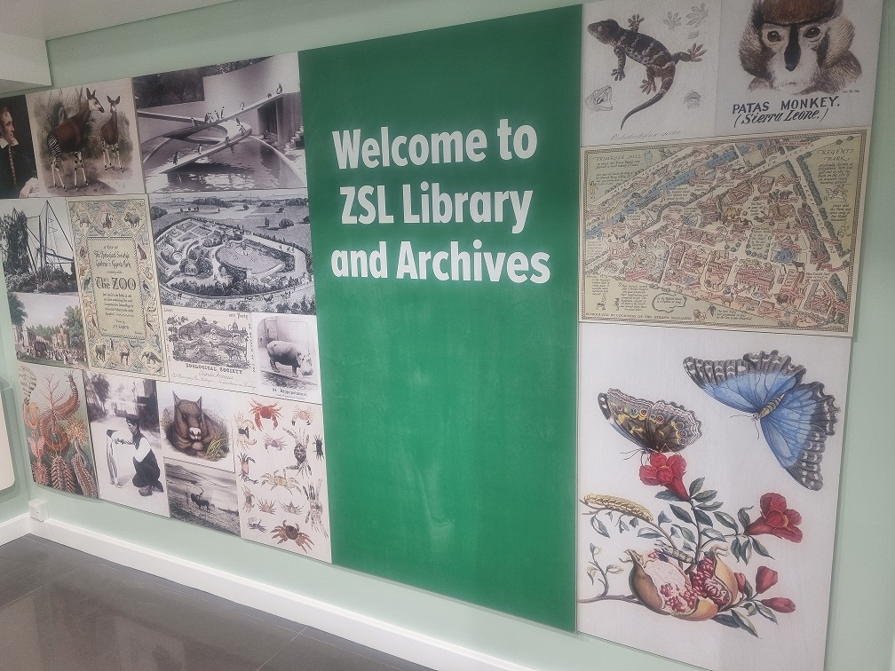 Are you attending tomorrow's ZSL Fellowship Conference? #DYK ZSL Library and Archives will be open 11am to 4pm for people attending? We are also holding "Biscuits, books and anecdotes" sessions during the day.
#LibrariesWeek2025
